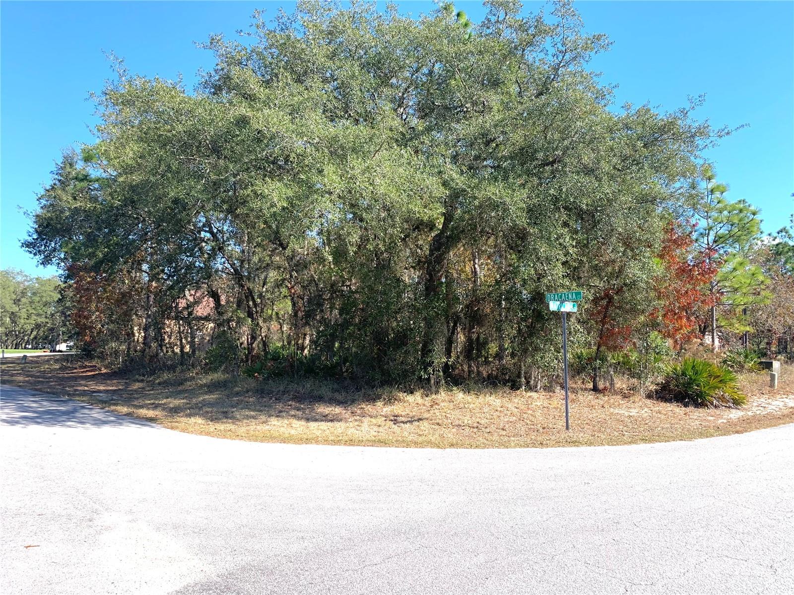 Image 4 of 8 For 2 Dracaena Court