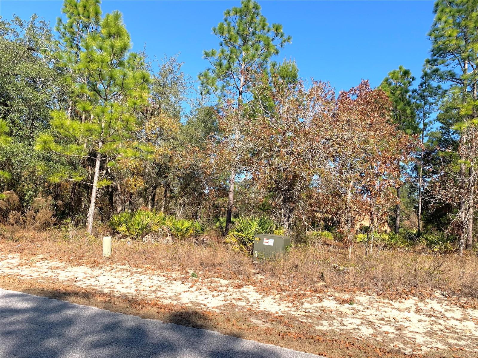 Image 6 of 8 For 2 Dracaena Court