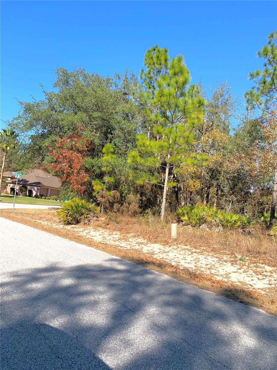 Image 7 of 8 For 2 Dracaena Court