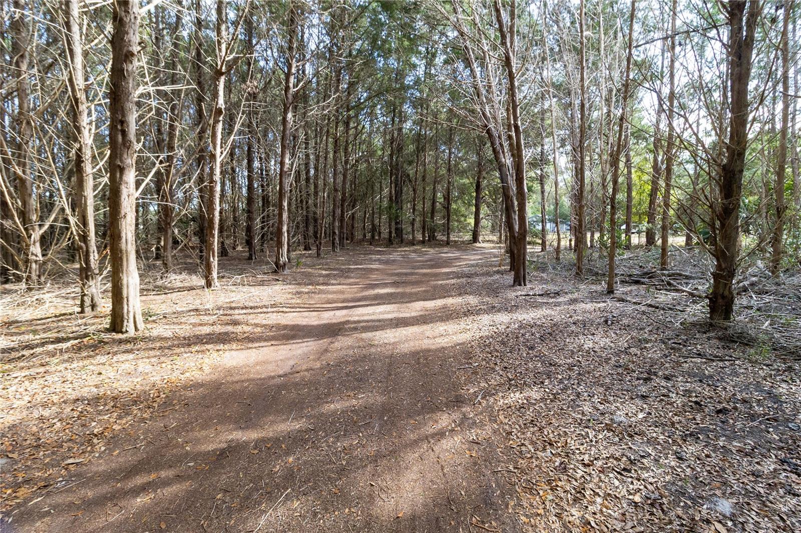 Image 9 of 94 For 8350 77th Place