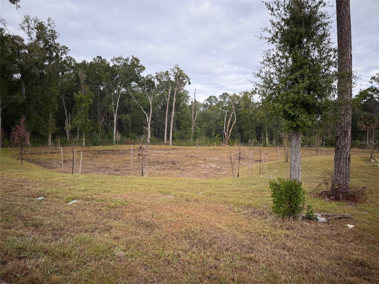 Image 27 of 28 For 5322 52nd Court