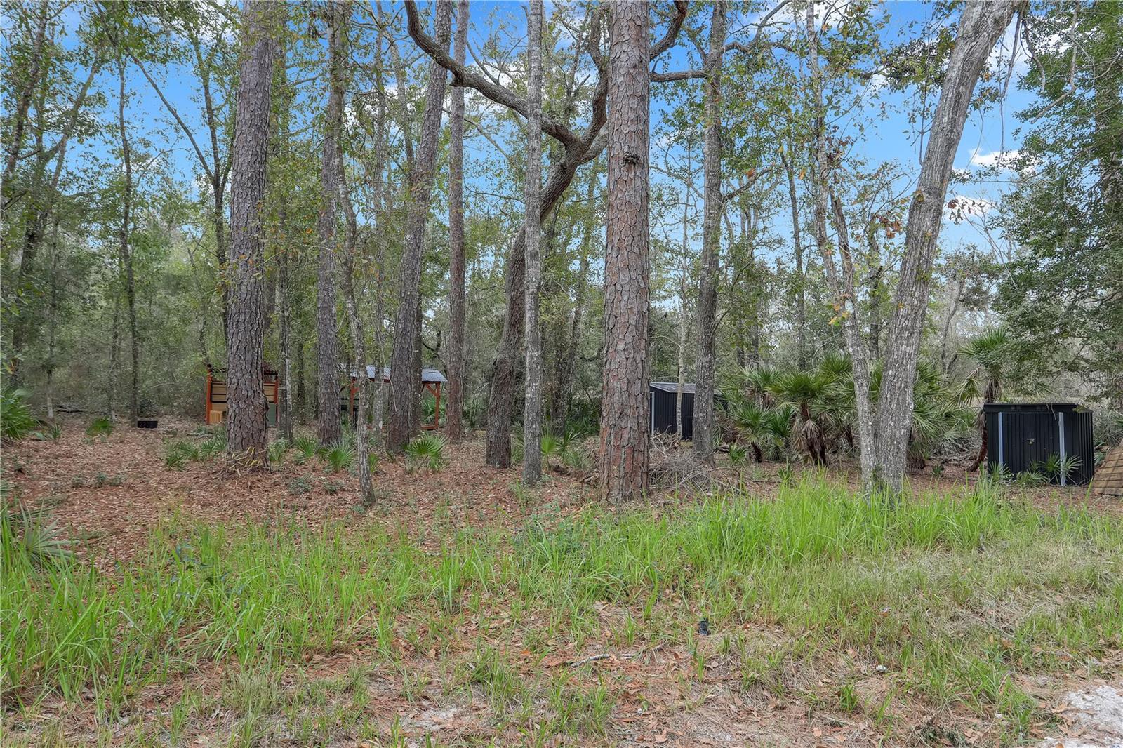 Image 8 of 17 For 00 929th Street