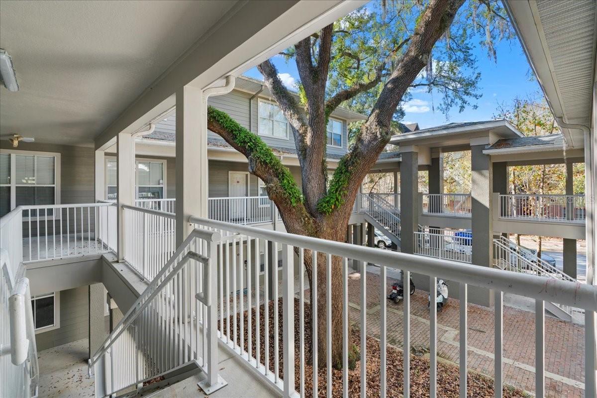 Image 35 of 42 For 621 10th Street 204