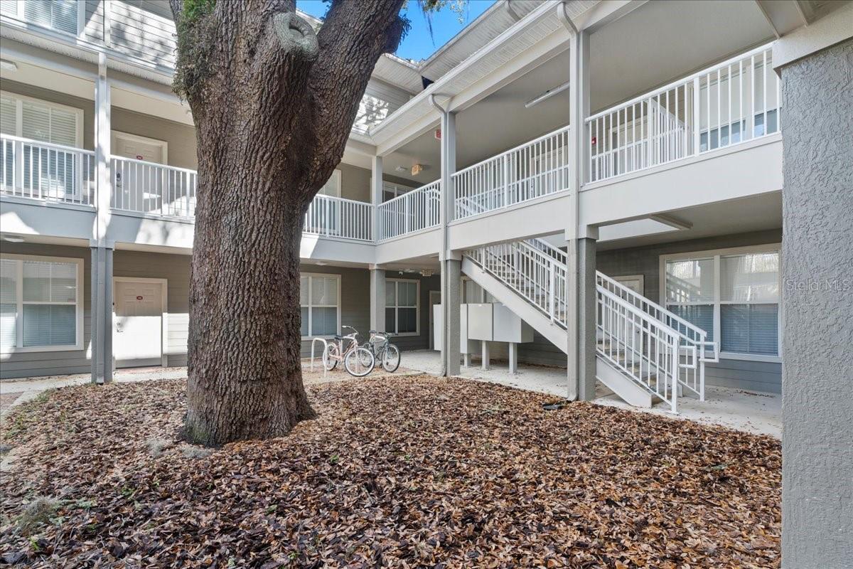 Image 36 of 42 For 621 10th Street 204