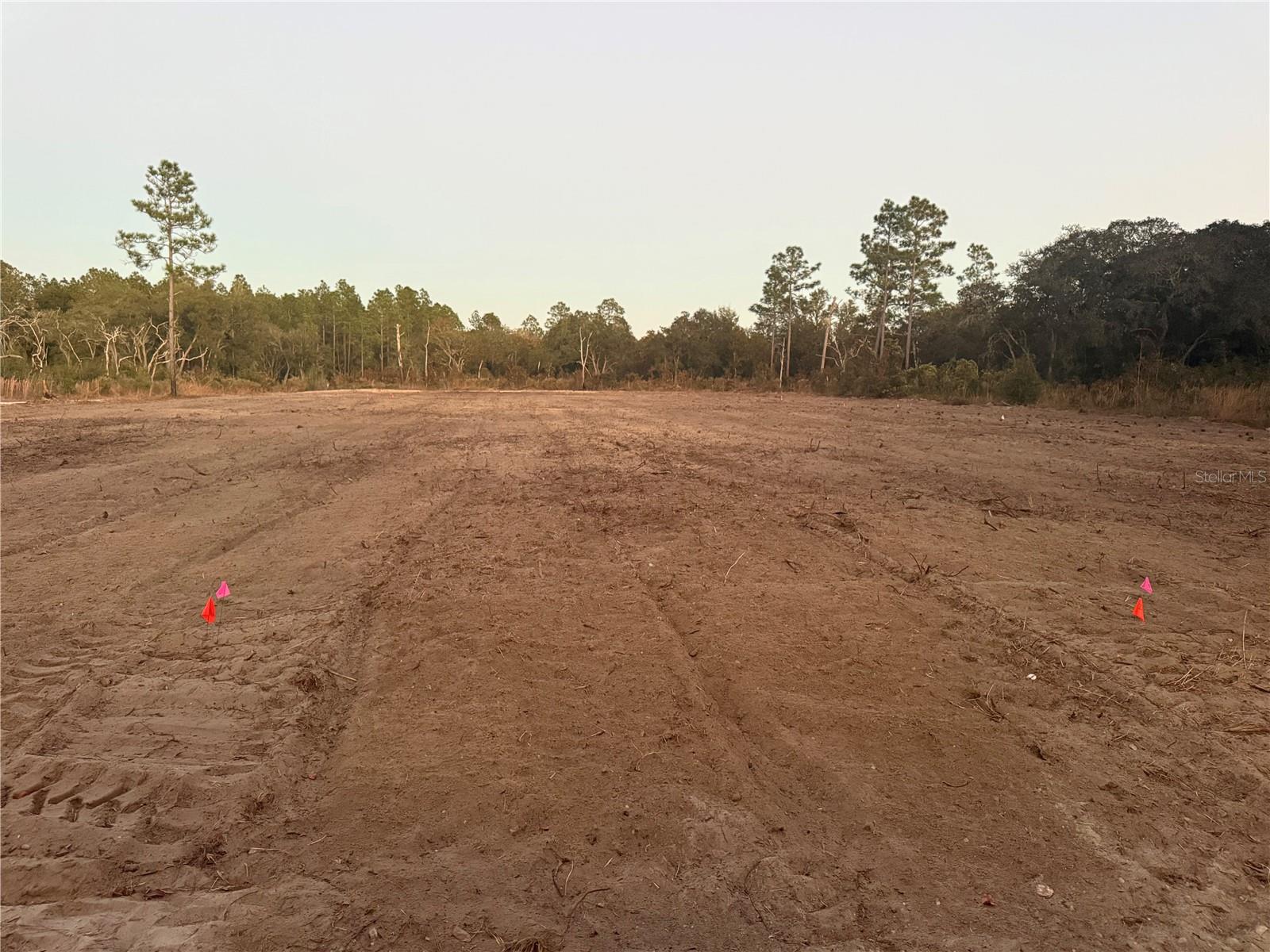 Image 3 of 3 For 7251 105th Avenue