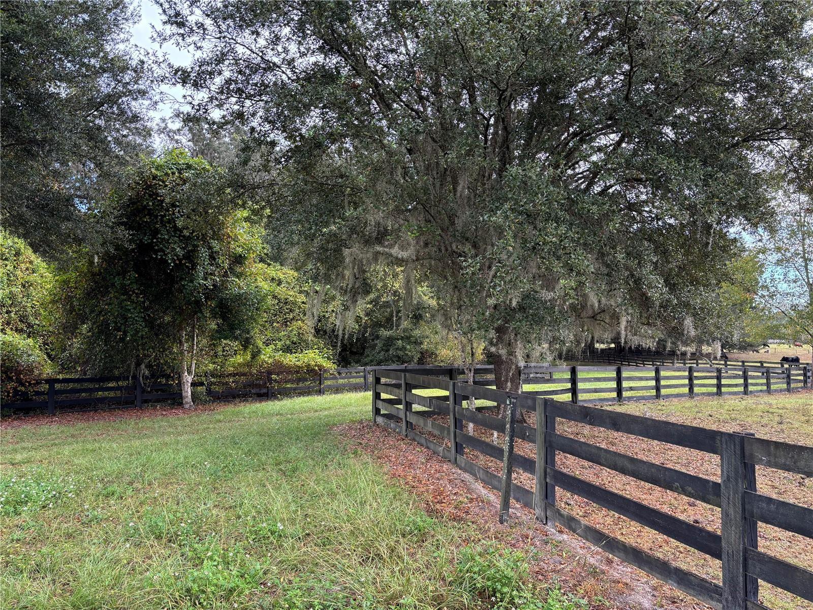 Image 2 of 11 For 8506 135 Lane