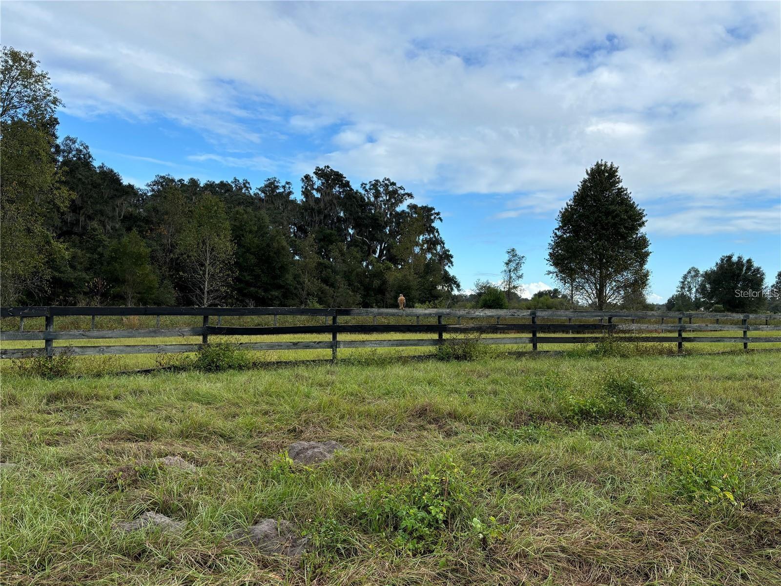 Image 7 of 11 For 8506 135 Lane