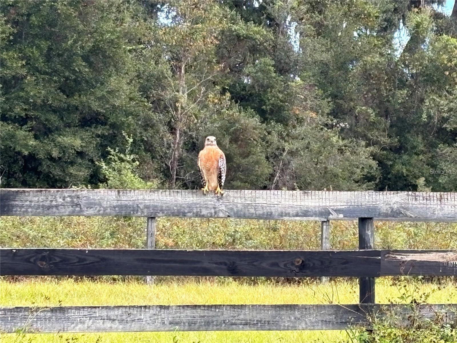 Image 8 of 11 For 8506 135 Lane