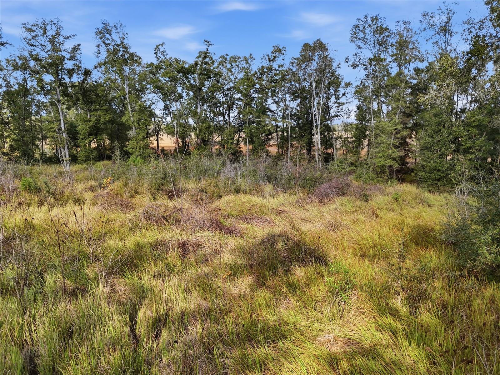 Image 7 of 8 For 00 80th Place