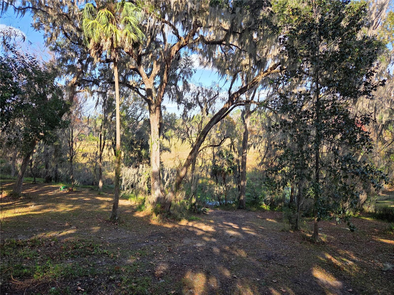 Image 8 of 58 For 2901 4th Court