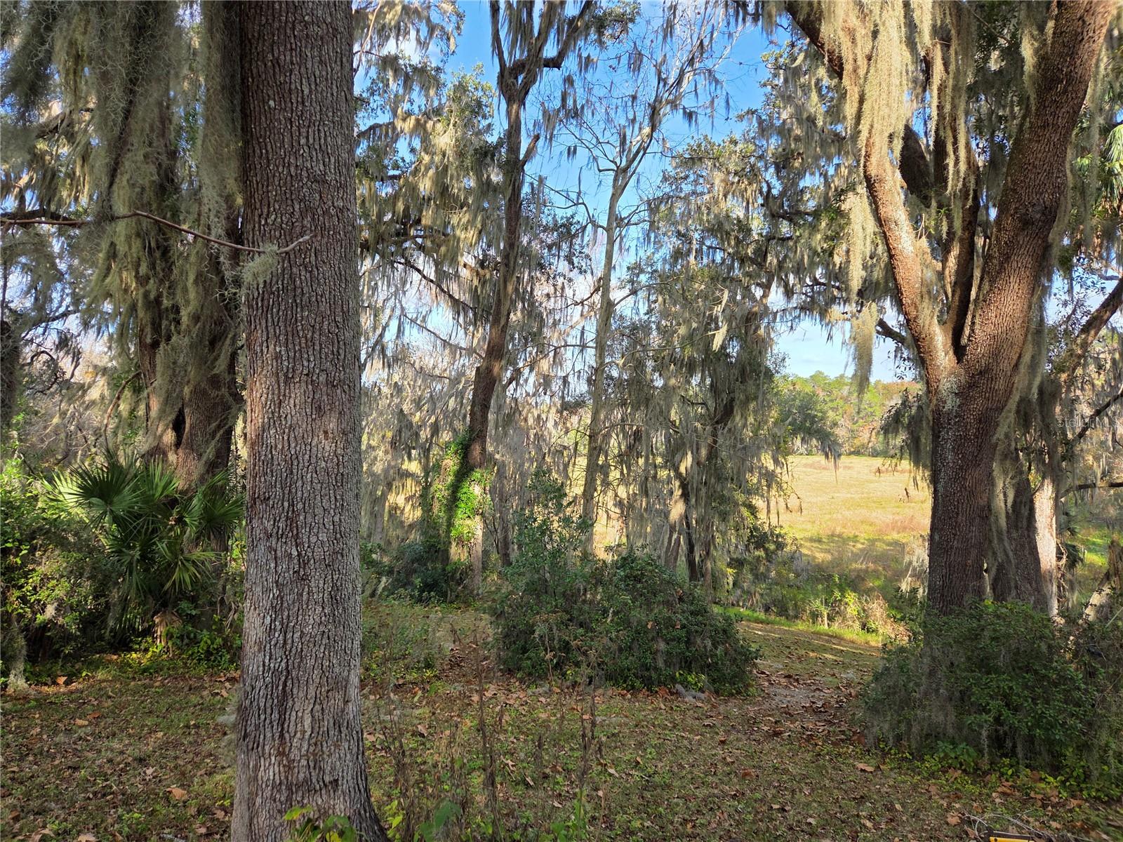 Image 9 of 58 For 2901 4th Court