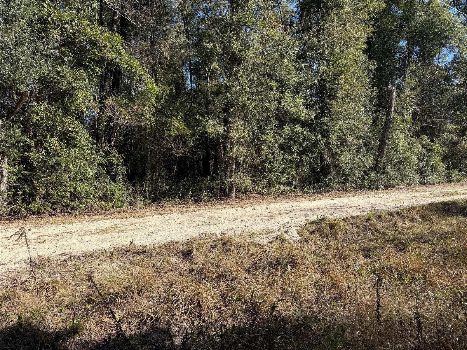 Image 2 of 5 For Tbd Sw 134 Ter