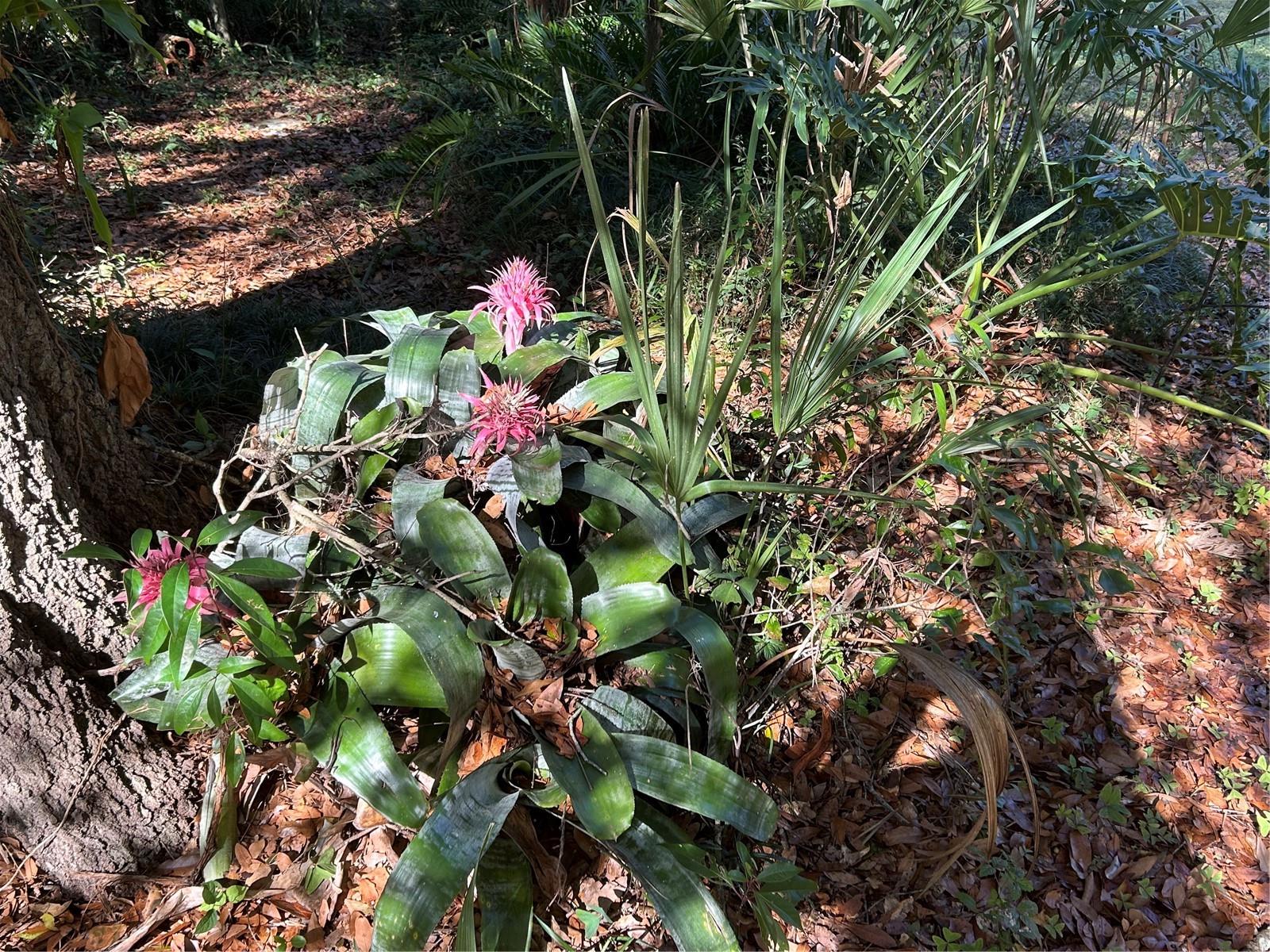 Image 5 of 12 For 6116 Trout Street