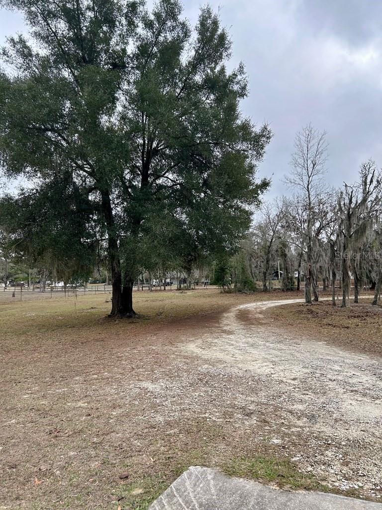 Image 27 of 51 For 8341 Oak Street