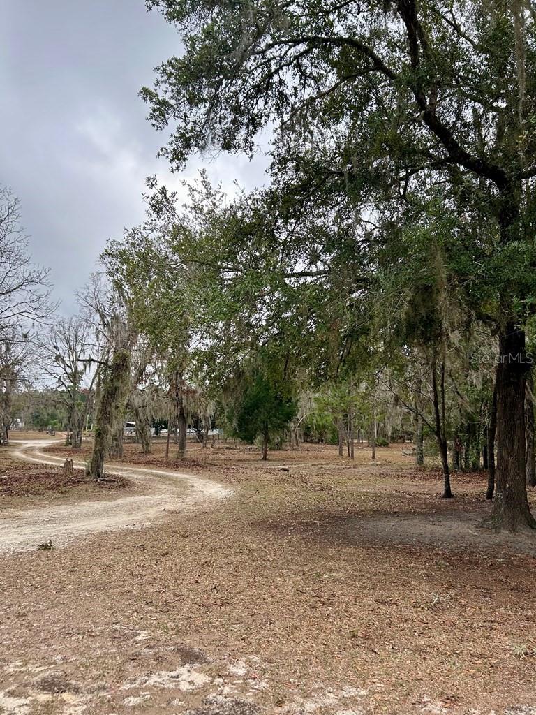 Image 29 of 51 For 8341 Oak Street