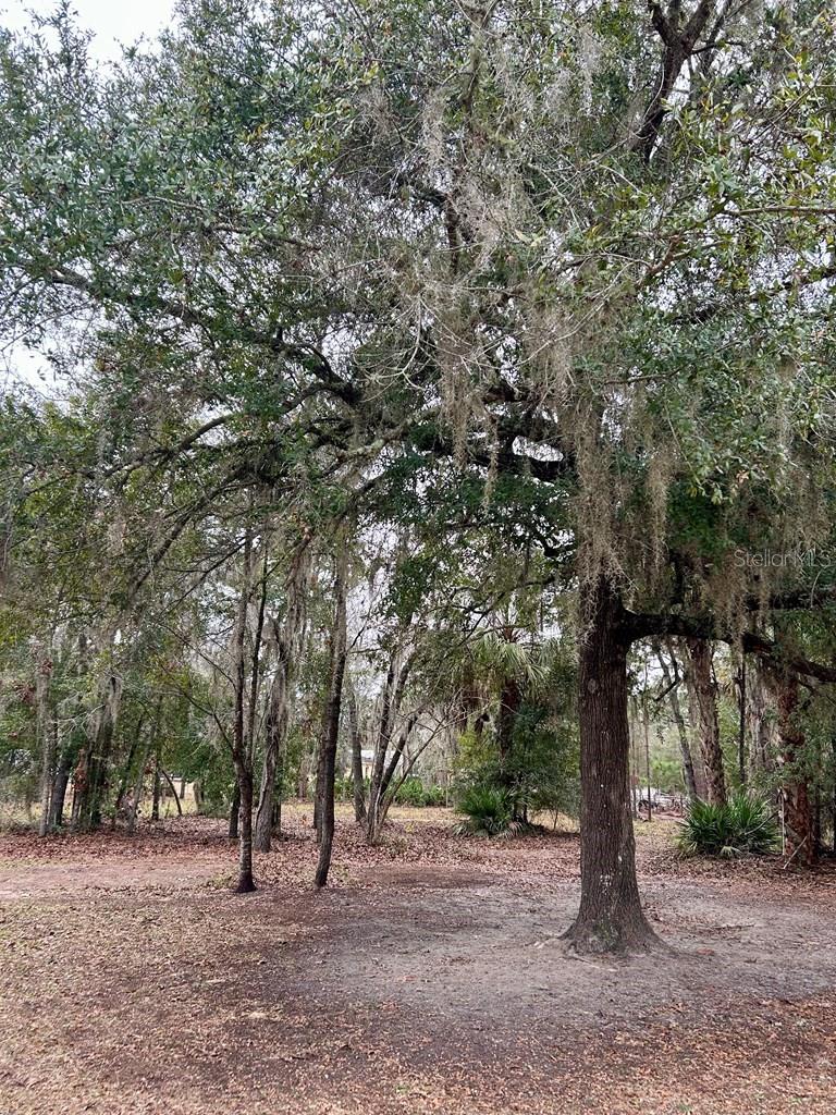 Image 32 of 51 For 8341 Oak Street