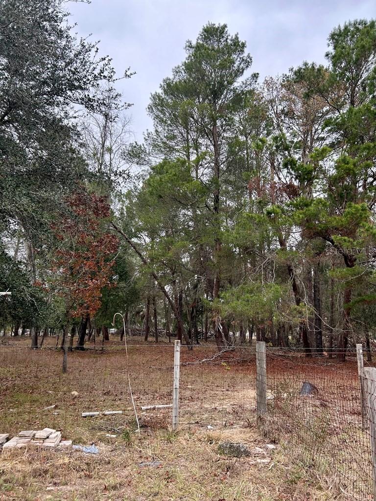 Image 34 of 51 For 8341 Oak Street