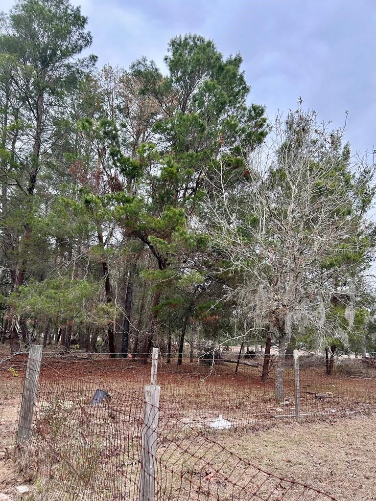 Image 35 of 51 For 8341 Oak Street