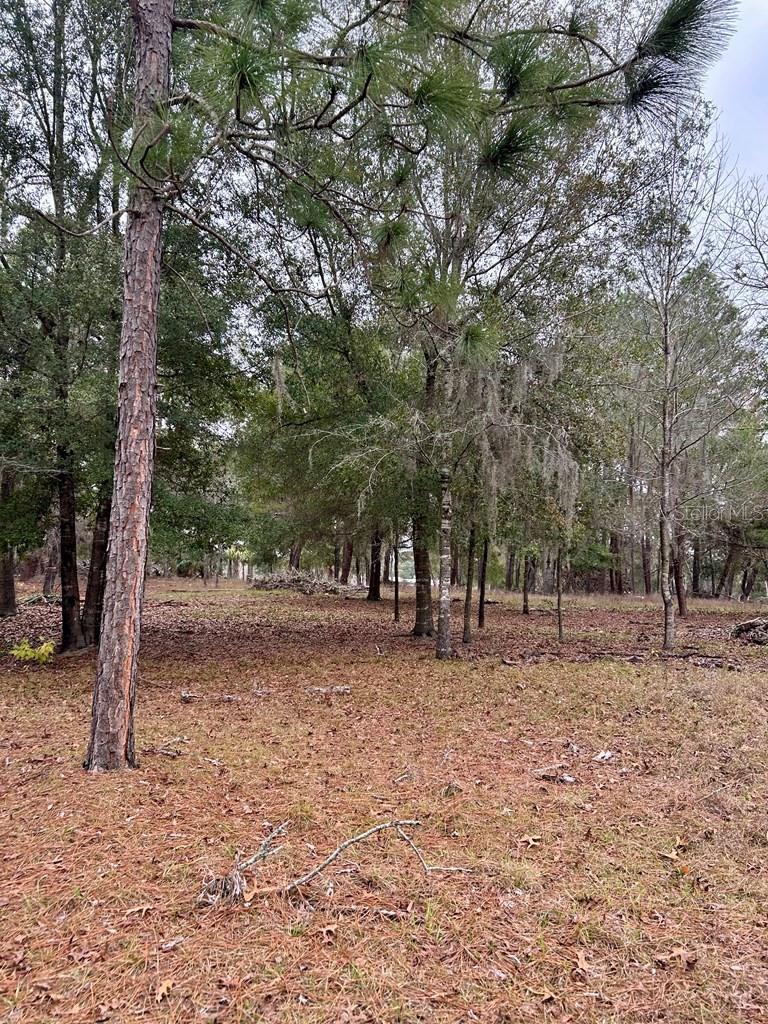 Image 43 of 51 For 8341 Oak Street