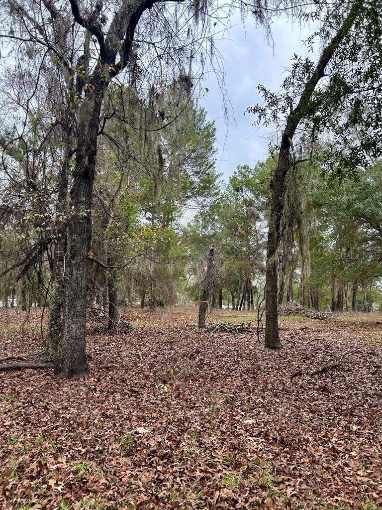 Image 44 of 51 For 8341 Oak Street