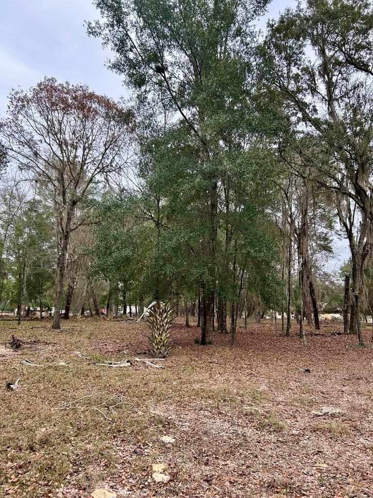 Image 45 of 51 For 8341 Oak Street