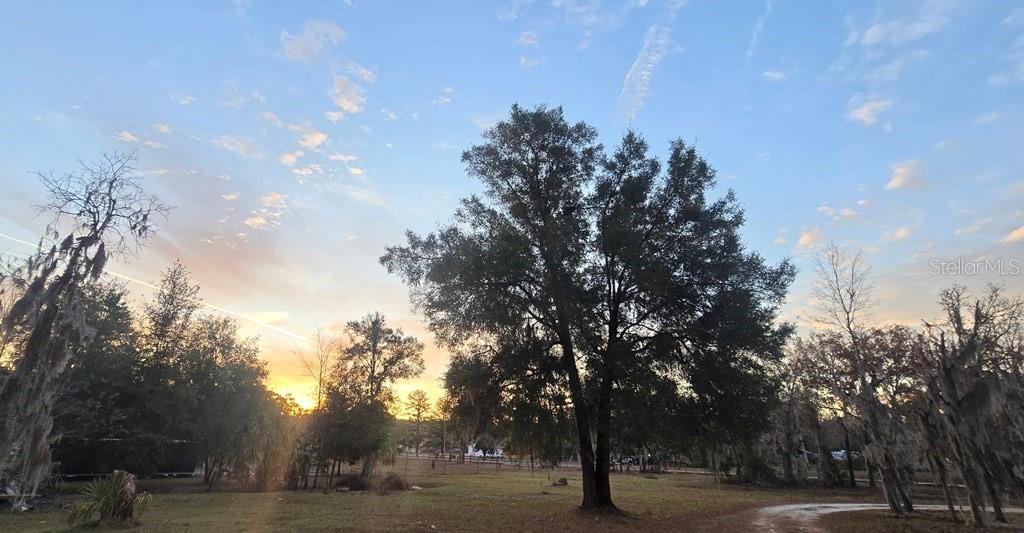 Image 46 of 51 For 8341 Oak Street