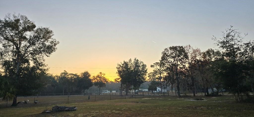 Image 47 of 51 For 8341 Oak Street