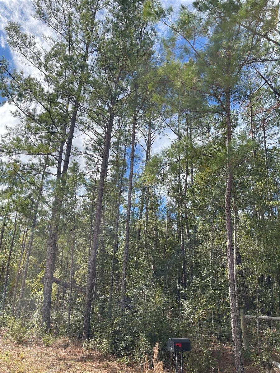 Image 11 of 13 For 15635 97th Drive