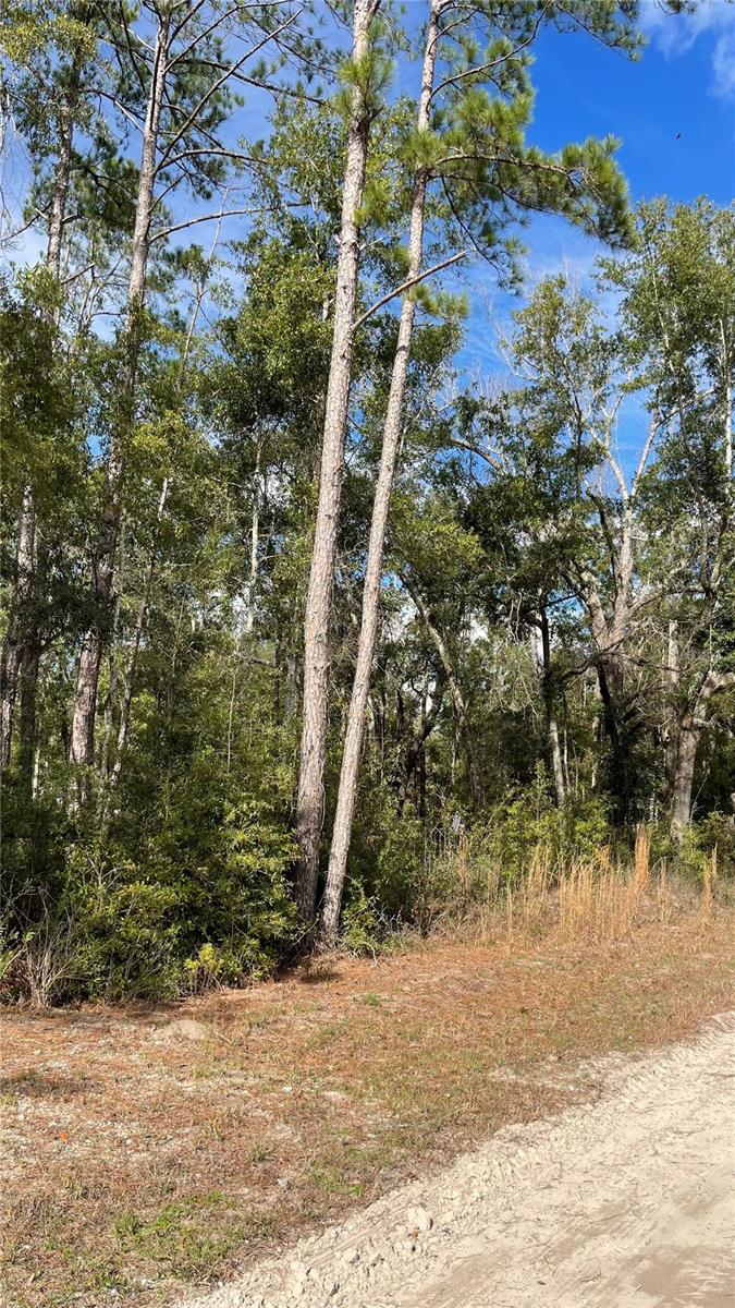 Image 2 of 13 For 15635 97th Drive