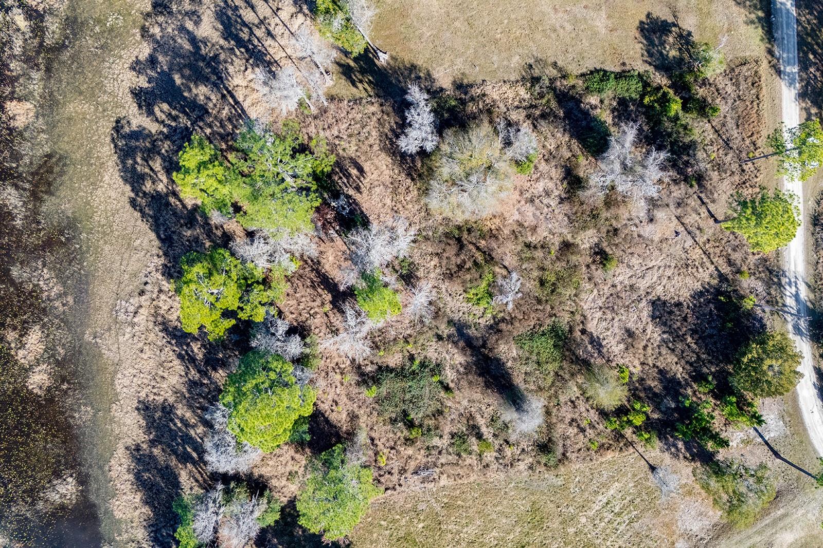 Image 50 of 54 For Lakeshore Drive