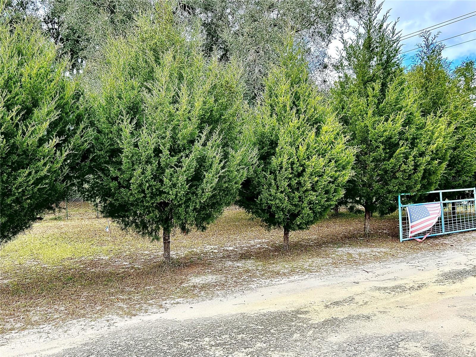 Details for 0 Nw 60th St, CHIEFLAND, FL 32626