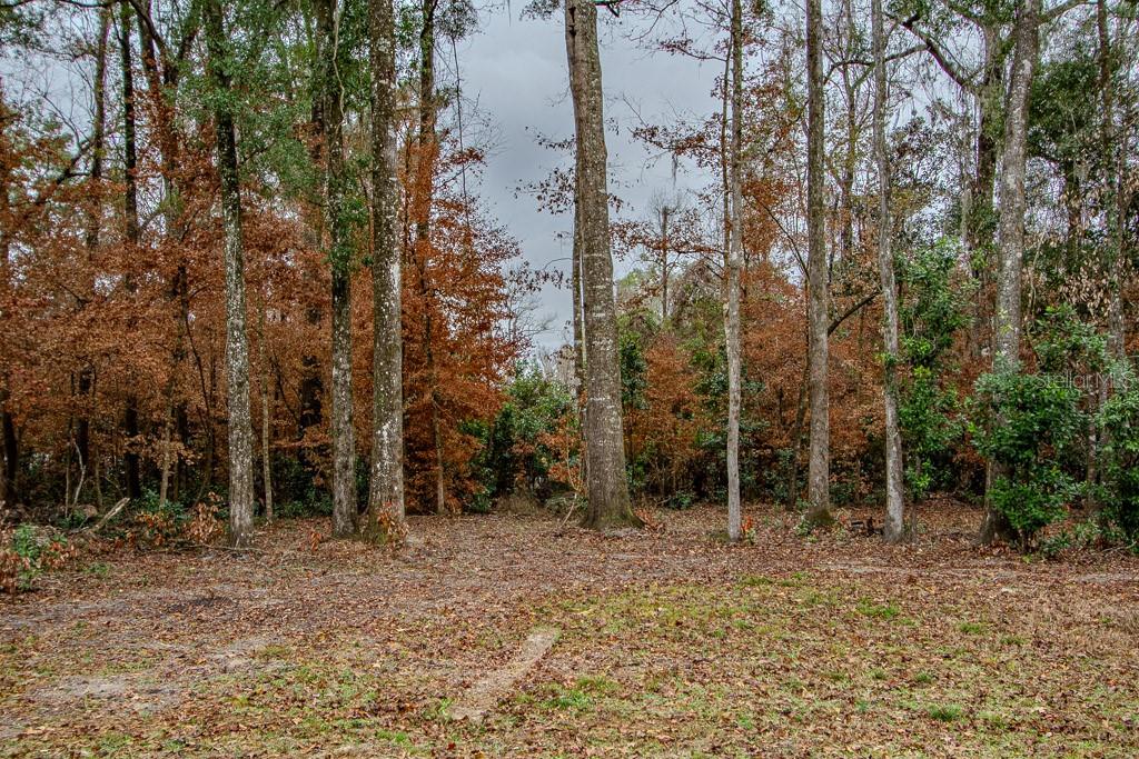 Image 6 of 19 For 448 Central Terrace