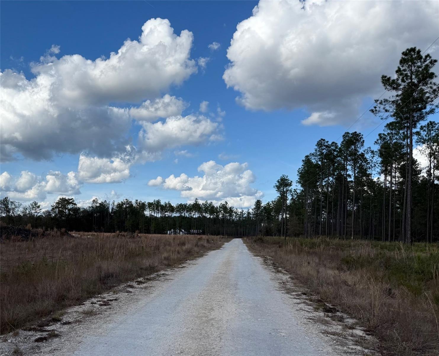 Image 3 of 8 For Cr-235