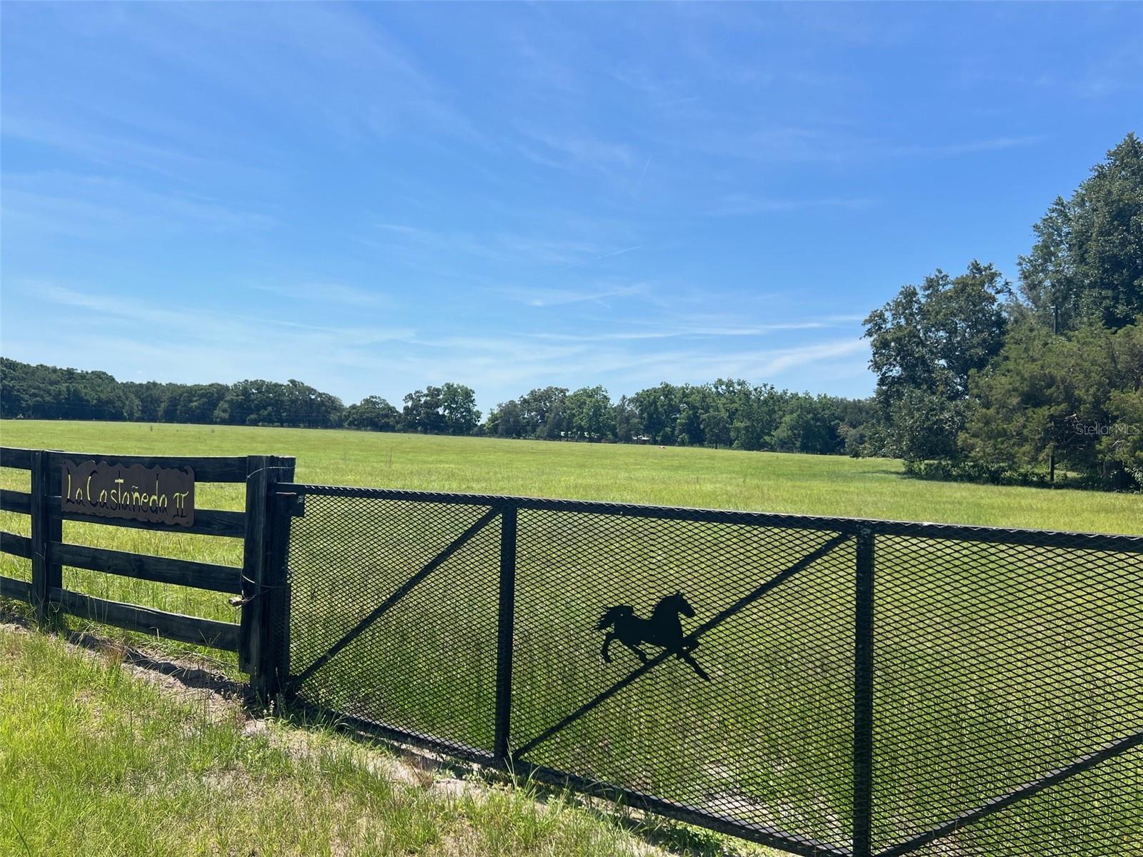 Details for 00 165th Avenue, HIGH SPRINGS, FL 32643