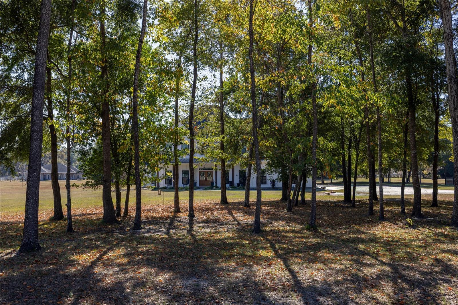 Image 75 of 80 For 26025 166th Avenue