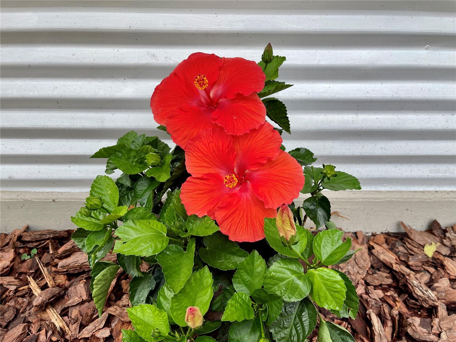 Image 27 of 27 For 1715 6th Place