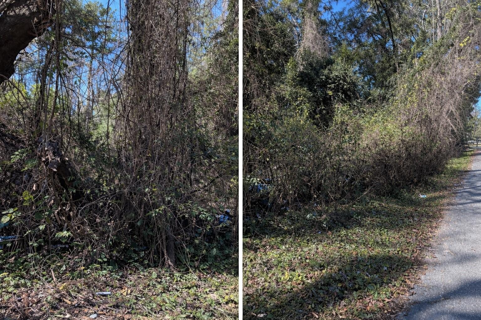 Details for 0000 Nw 134th Ter, ALACHUA, FL 32615