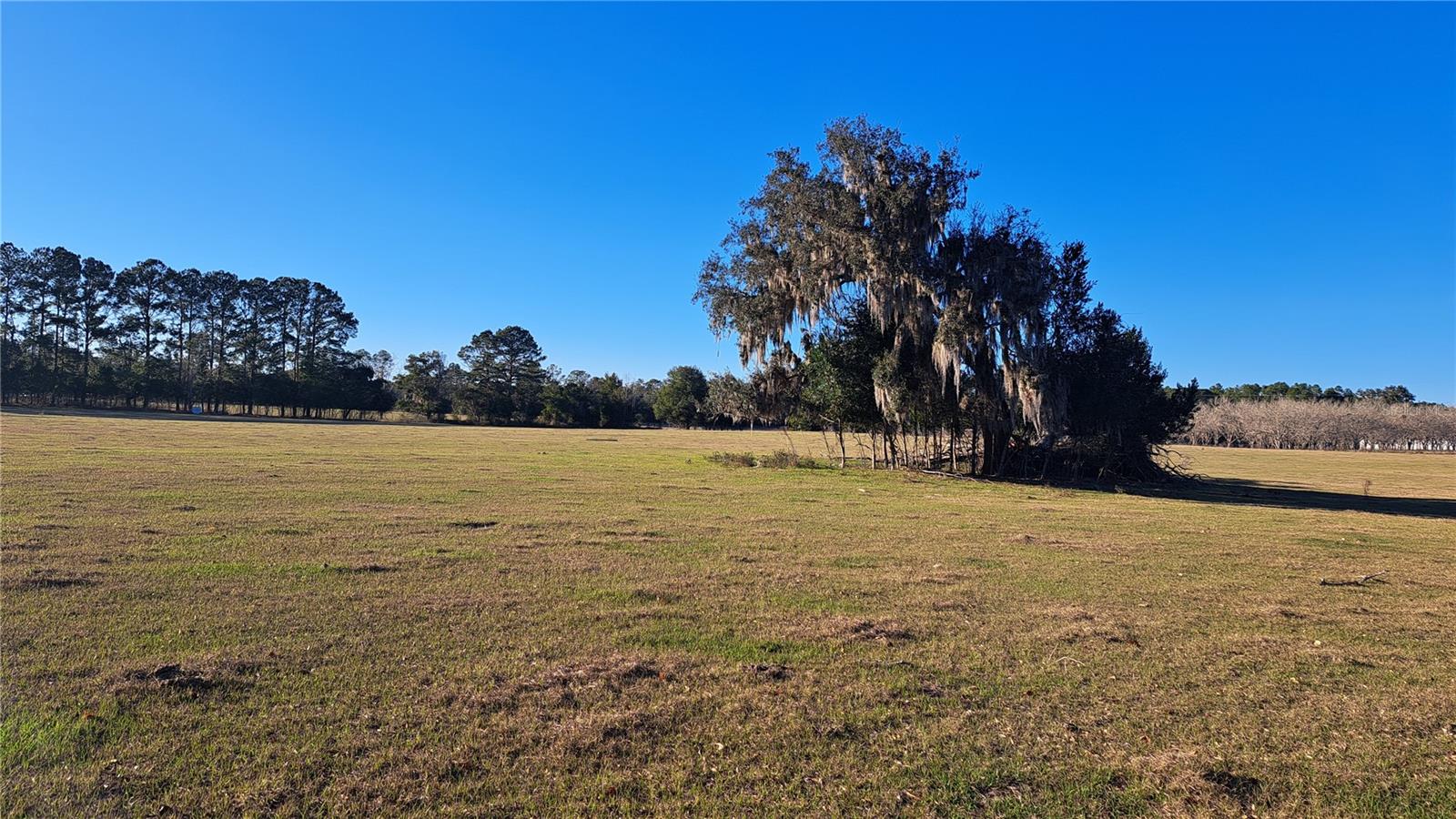 Listing Details for  Us 45  , ALACHUA, FL 32615