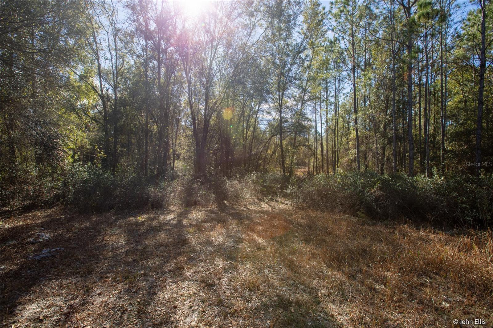 Image 11 of 12 For 7644 Huron Court