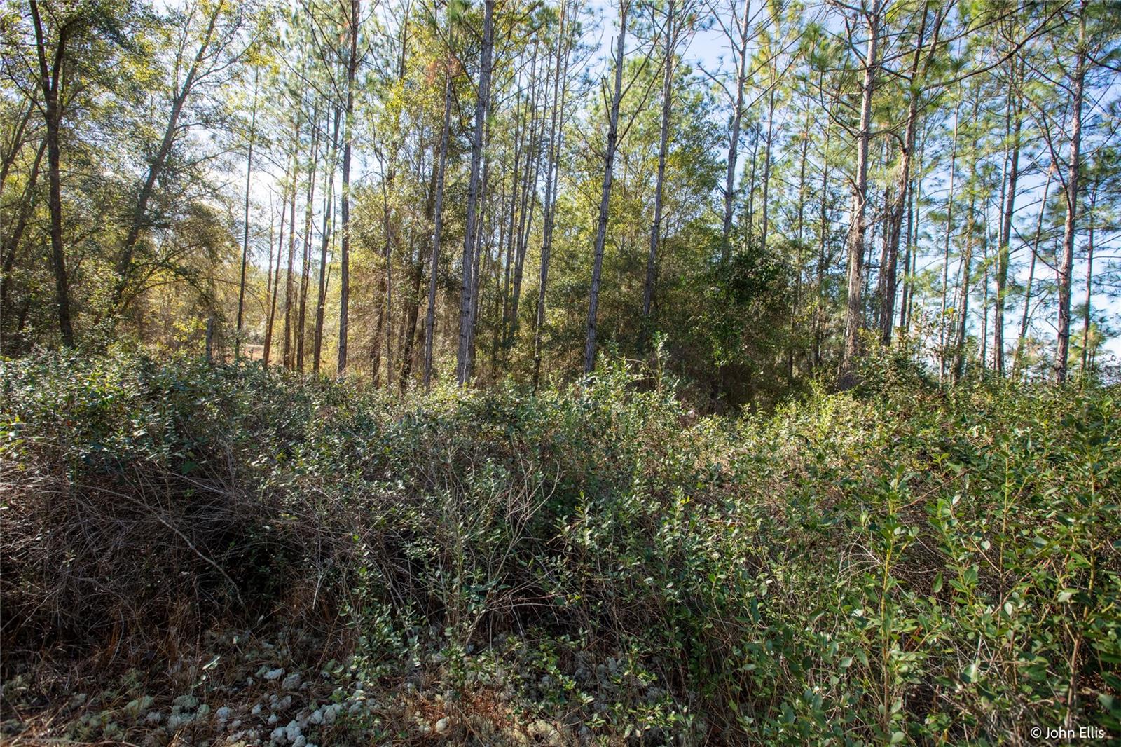 Image 12 of 12 For 7644 Huron Court