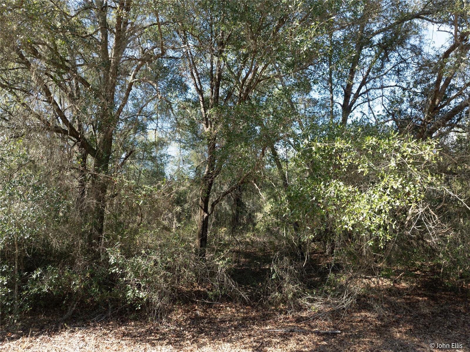 Image 5 of 12 For 7644 Huron Court