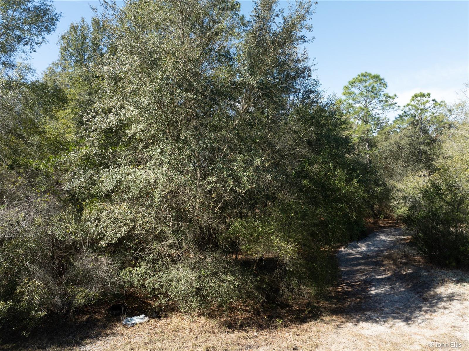 Image 7 of 12 For 7644 Huron Court