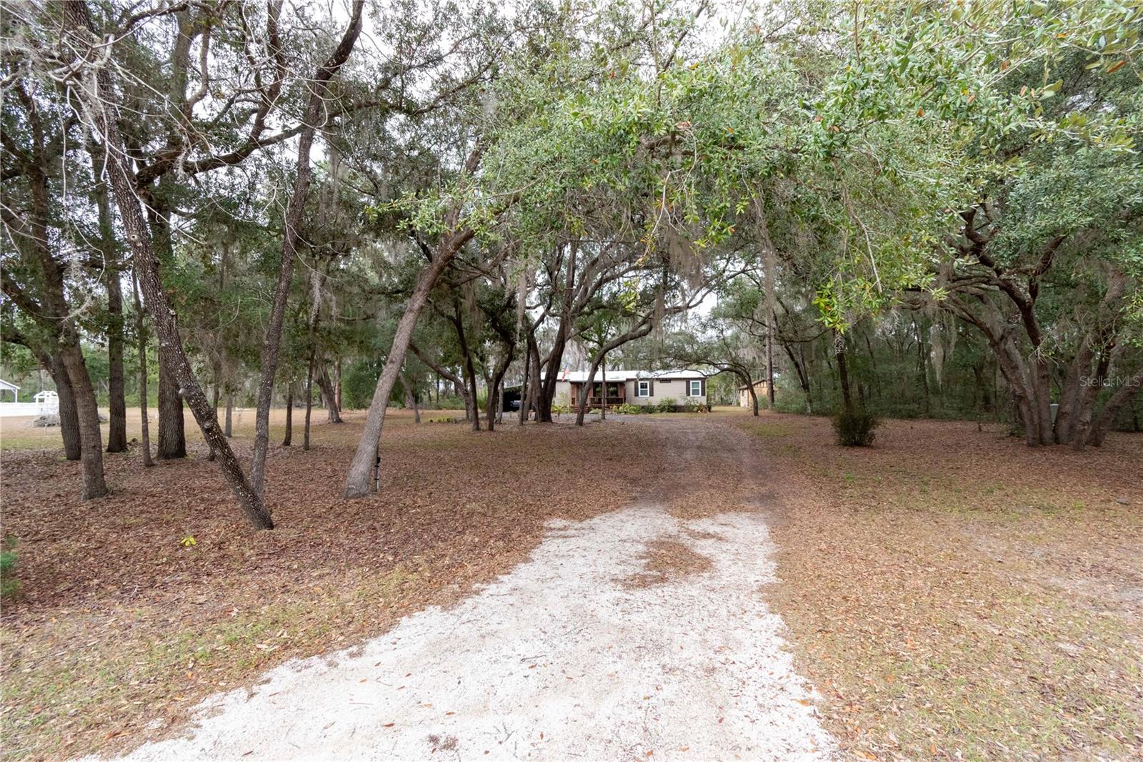 Image 37 of 41 For 112 Magnolia Street