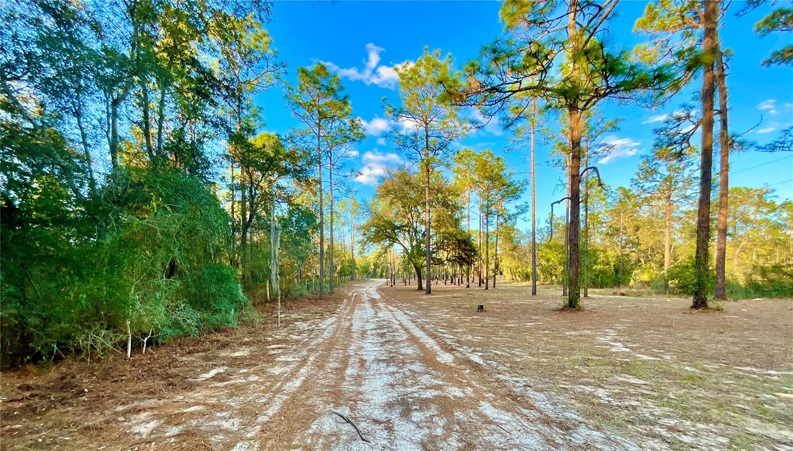 Image 33 of 54 For 109 Sandpiper Drive