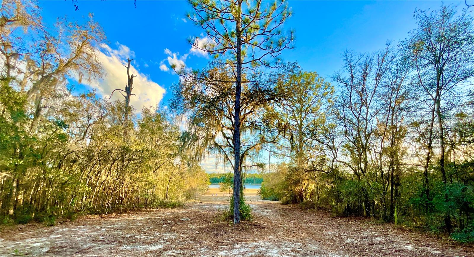 Image 36 of 54 For 109 Sandpiper Drive