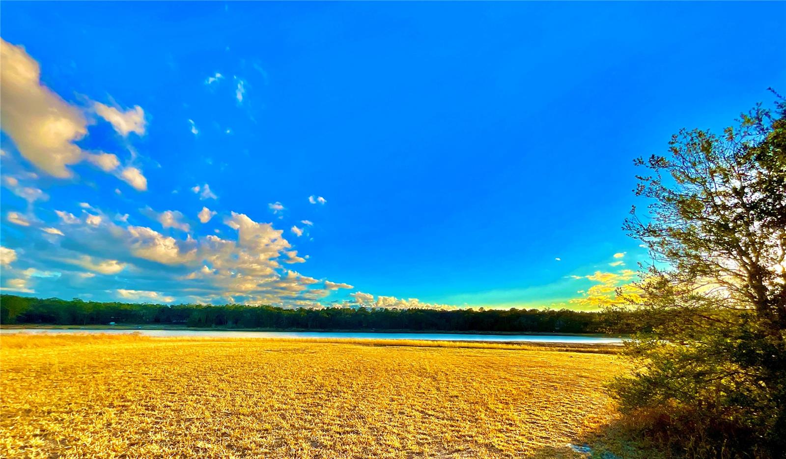 Image 6 of 54 For 109 Sandpiper Drive