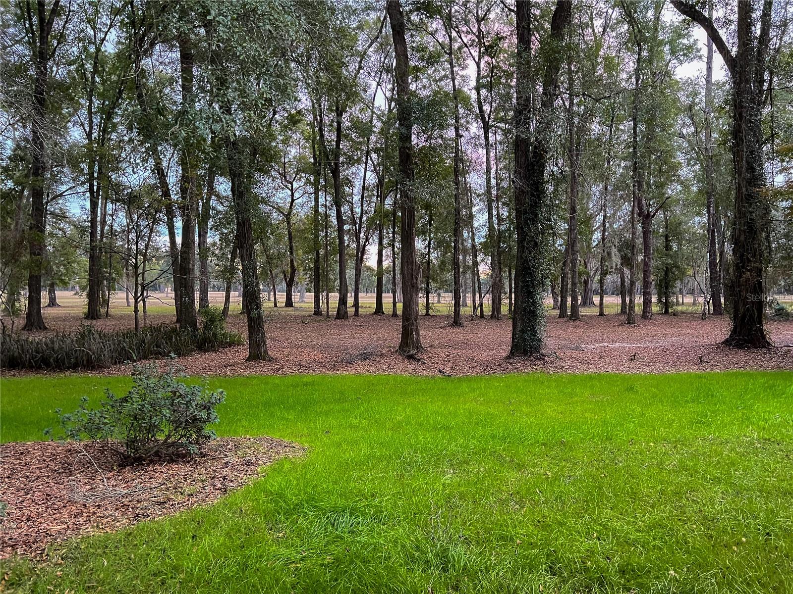 Image 50 of 51 For 15125 87th Avenue