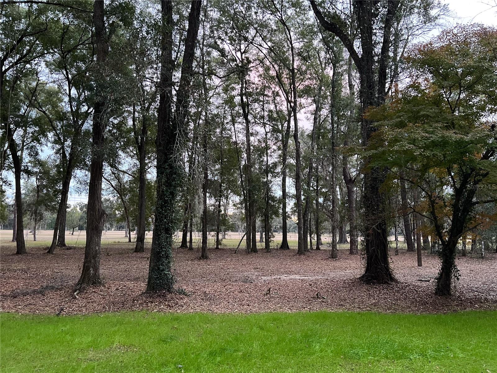 Image 51 of 51 For 15125 87th Avenue