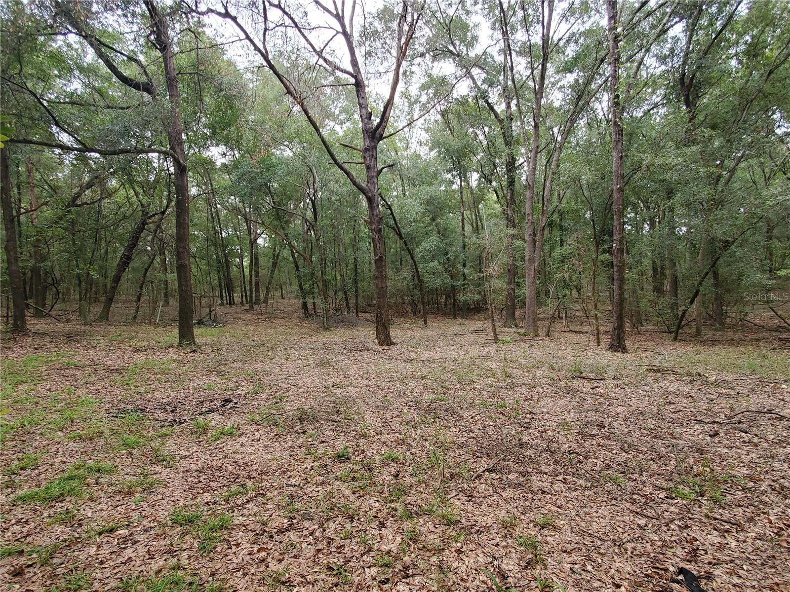 Image 14 of 15 For 4919 18 Trail