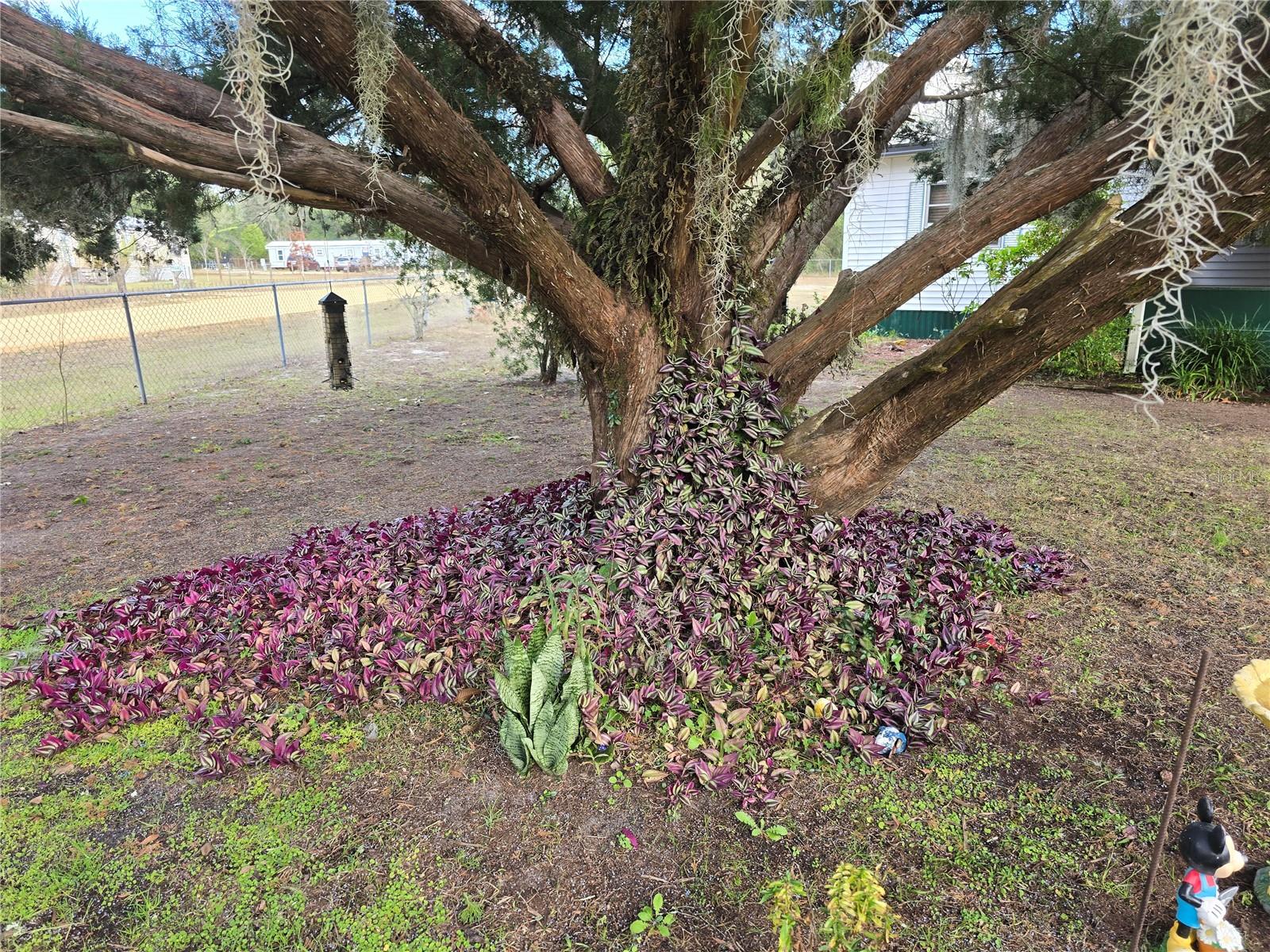 Image 3 of 44 For 240 Kitty Avenue